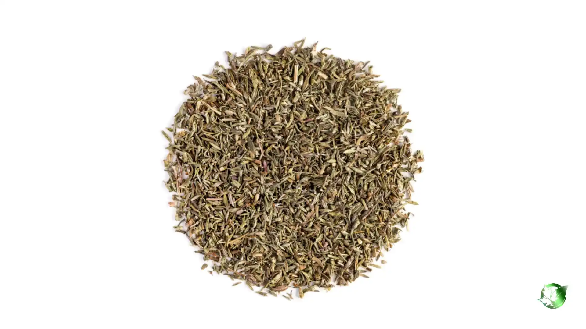 Bulk Thyme | Suppliers | Wholesale | ParsaFood Global