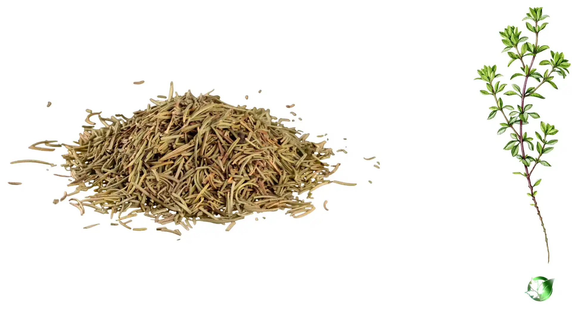 Thyme quality, format, and packaging should be matched to the buyer’s target application.