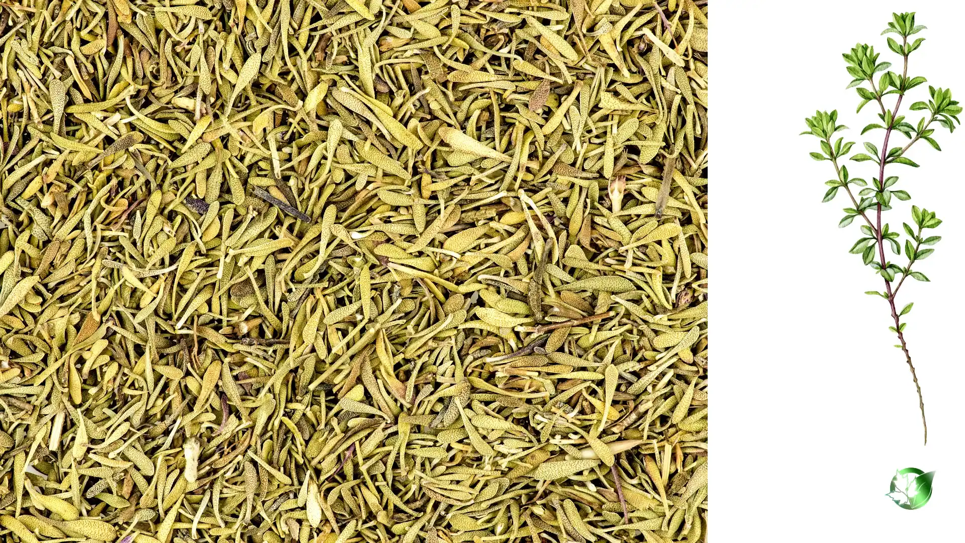 Wholesale packaging for Thyme can be planned for grocery retail, catering and restaurant channels, buyer-brand, or manufacturing distribution.
