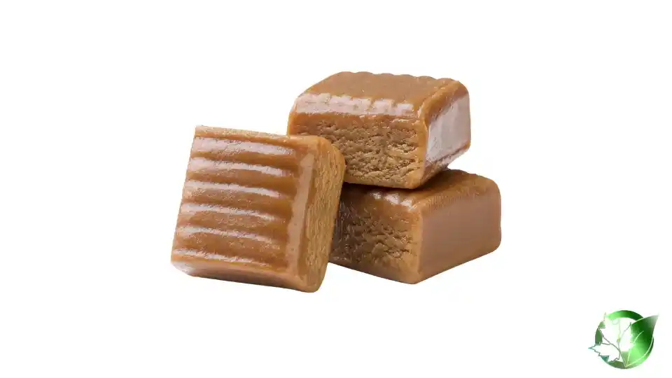 Toffee1.webp