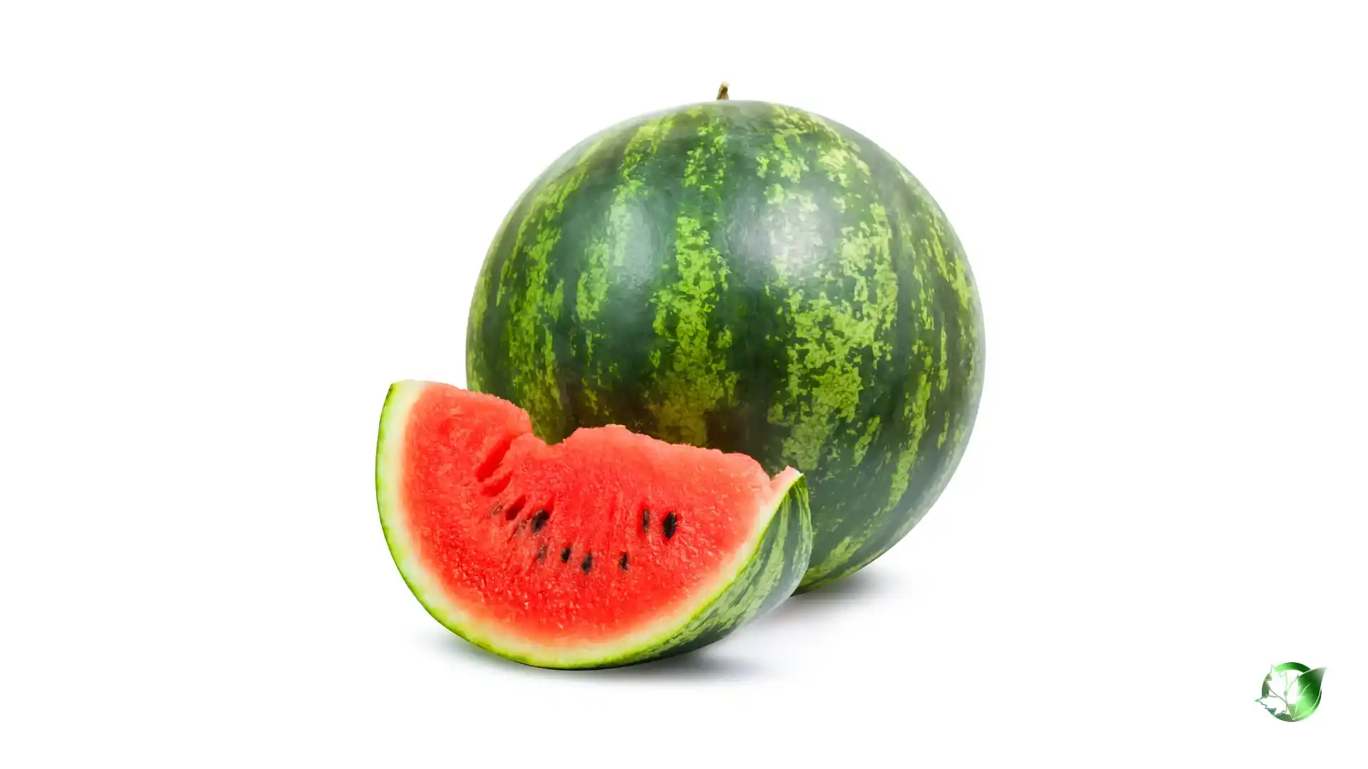 Bulk Watermelon | Suppliers | Wholesale | ParsaFood Global