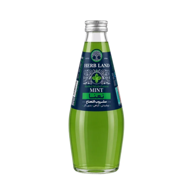 Mint Drink