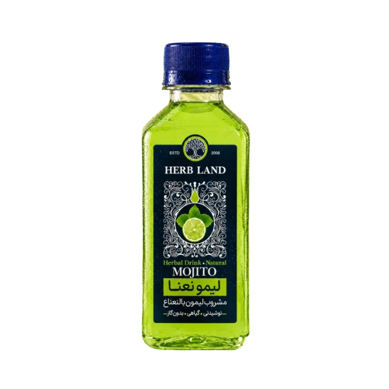 Mojito Drink