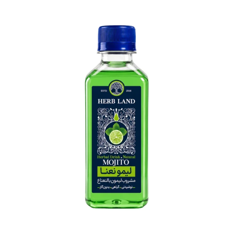 Mojito Drink