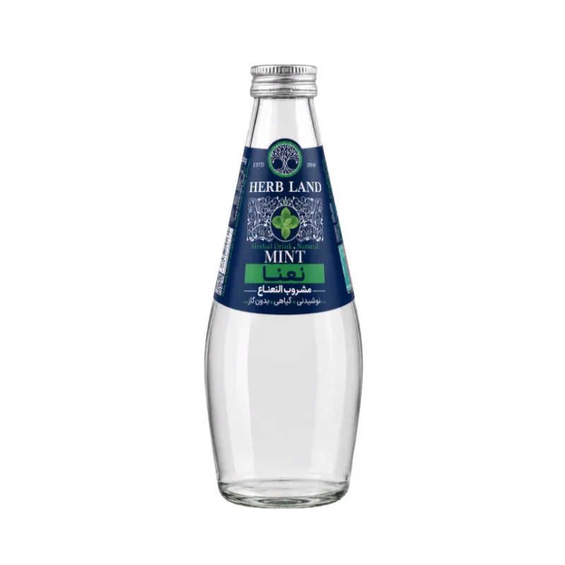 Mint Drink