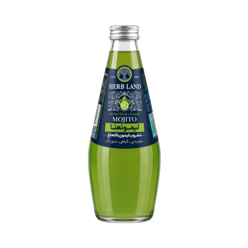 Mojito Drink