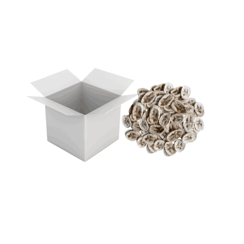 Dried Fruits ParsaFood