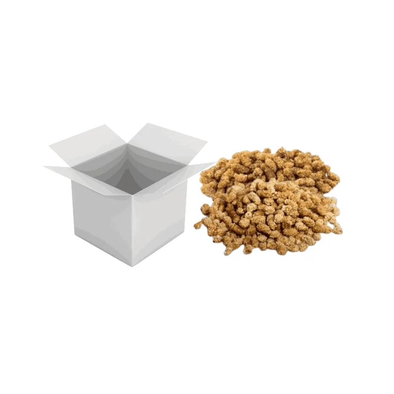 Dried Mulberries
